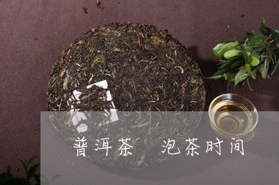 普洱茶 泡茶时间/2023041004918